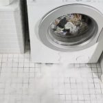 Can Cockroaches Survive Washing Machine