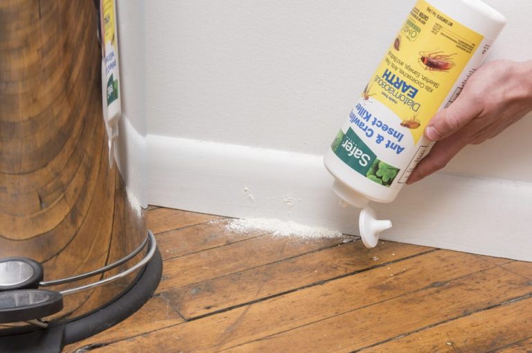 How to Apply Diatomaceous Earth for Roaches? All About Roaches