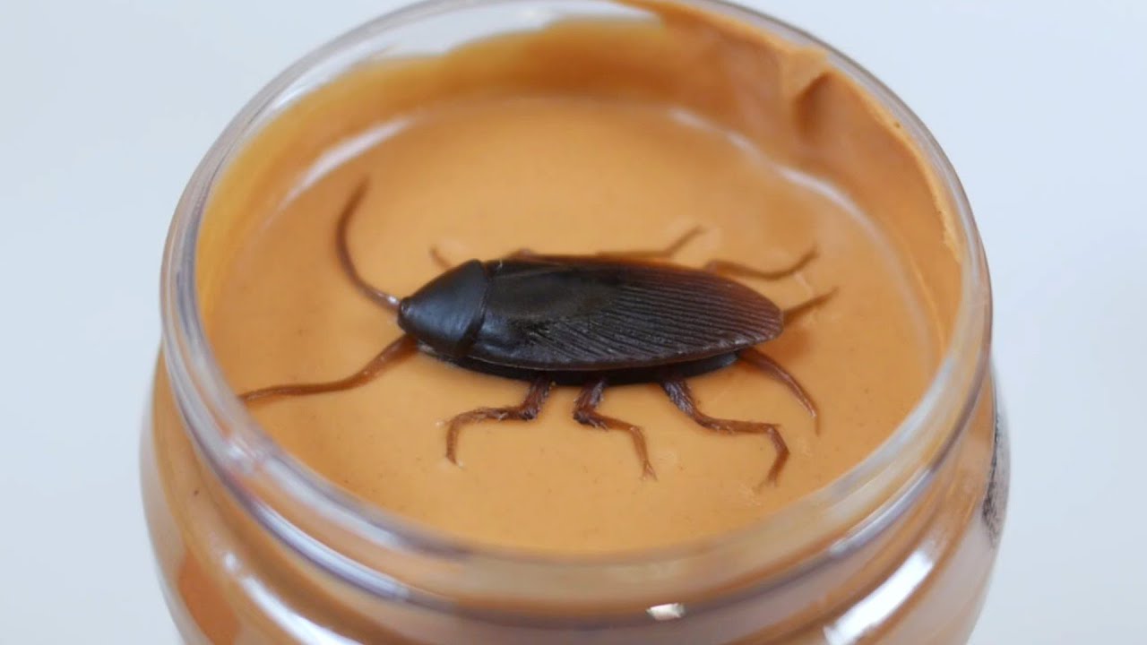 Does Peanut Butter Contain Cockroaches?