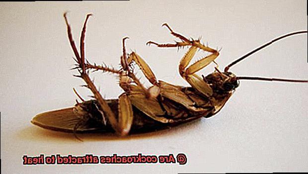 Are cockroaches attracted to heat-4