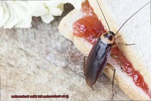 Do Cockroaches Eat Other Cockroaches? - All About Roaches