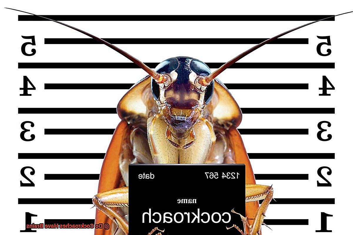 Do Cockroaches Have Brains-2
