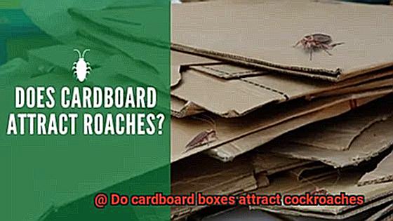 Do cardboard boxes attract cockroaches-2