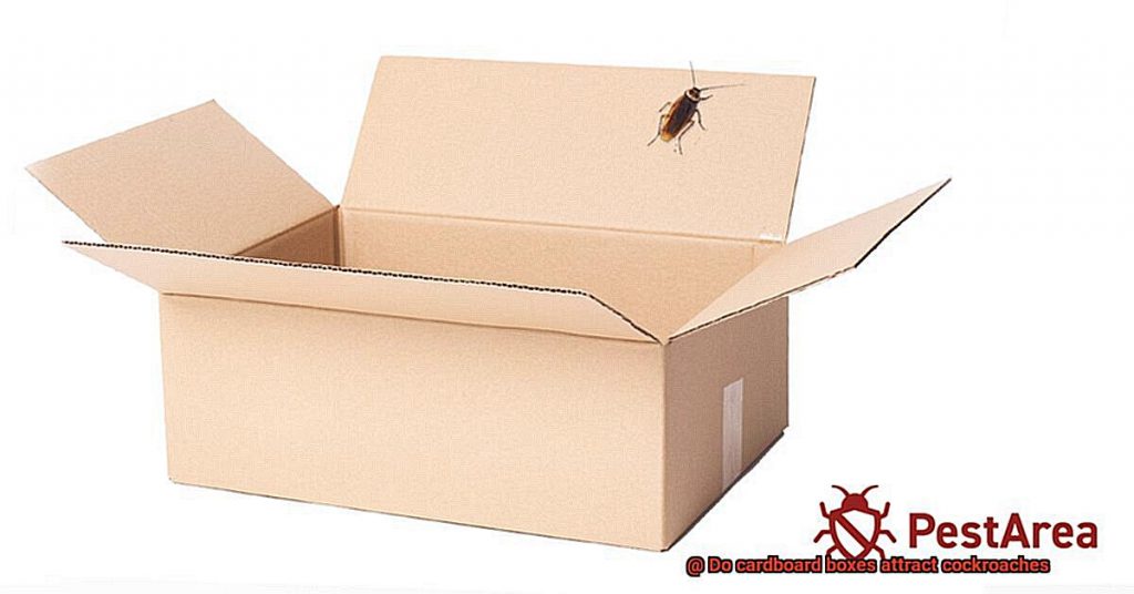 Do cardboard boxes attract cockroaches? All About Roaches