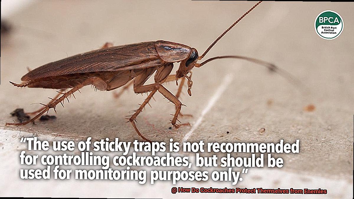 How Do Cockroaches Protect Themselves from Enemies-2
