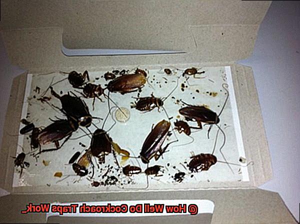 How Well Do Cockroach Traps Work_-2