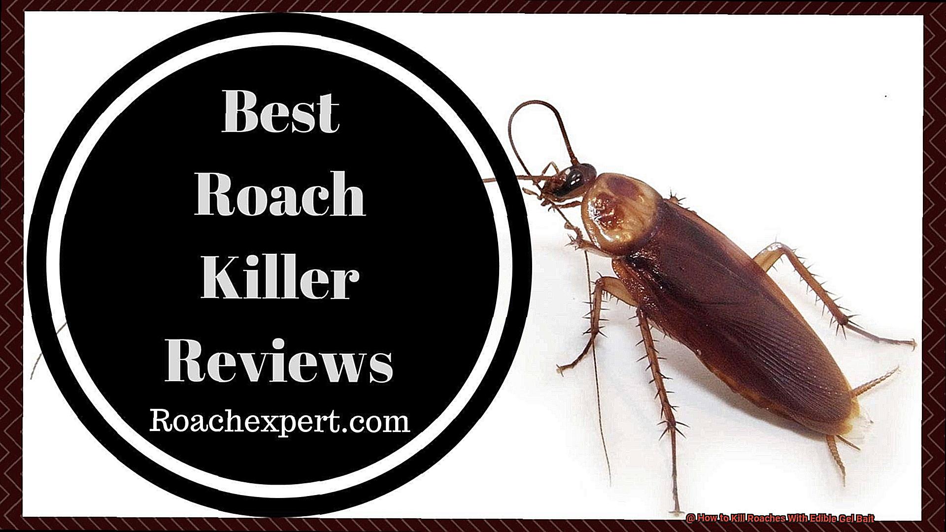 How to Kill Roaches With Edible Gel Bait-2
