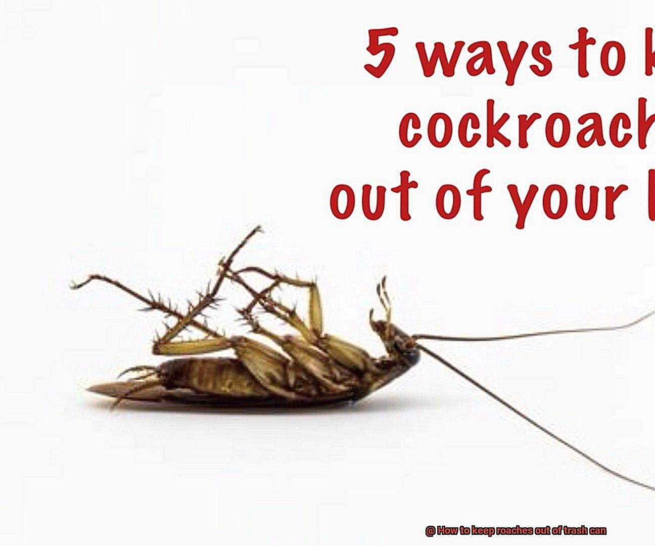 How to keep roaches out of trash can-6