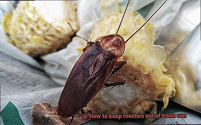 How to keep roaches out of trash can-3