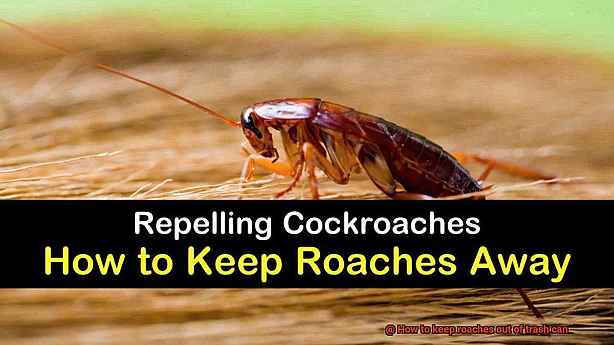 How to keep roaches out of trash can-5