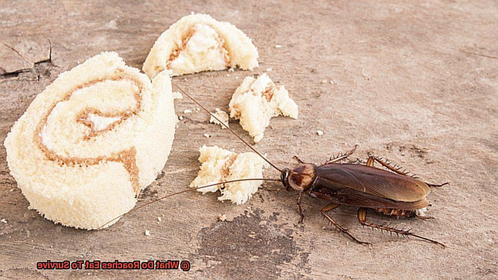 What Do Roaches Eat To Survive-5