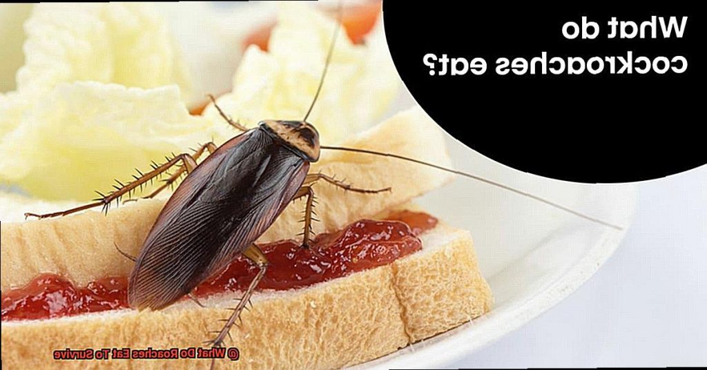 What Do Roaches Eat To Survive? All About Roaches