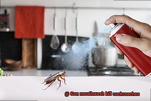 Can mouthwash kill cockroaches-5
