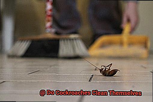 Do Cockroaches Clean Themselves-2