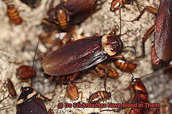 Do Cockroaches Have Blood in Them-2