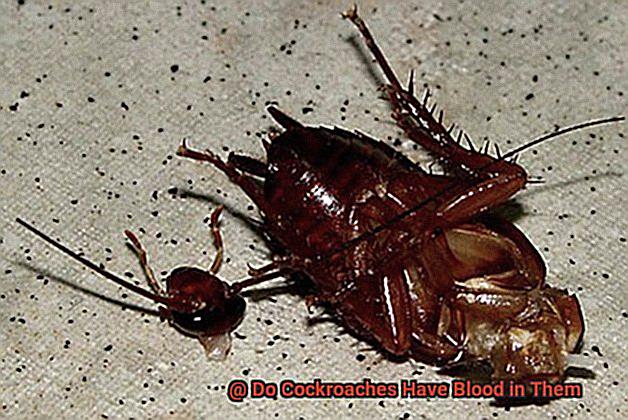 Do Cockroaches Have Blood in Them-4