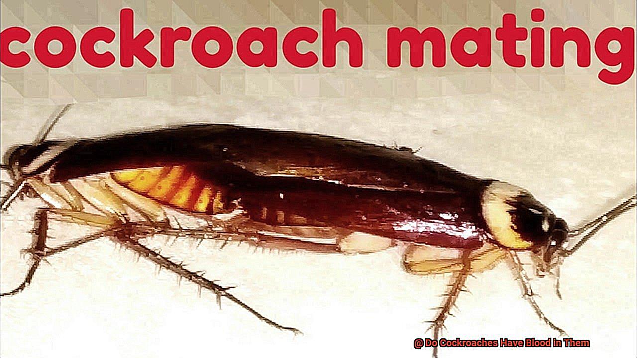 Do Cockroaches Have Blood in Them-3
