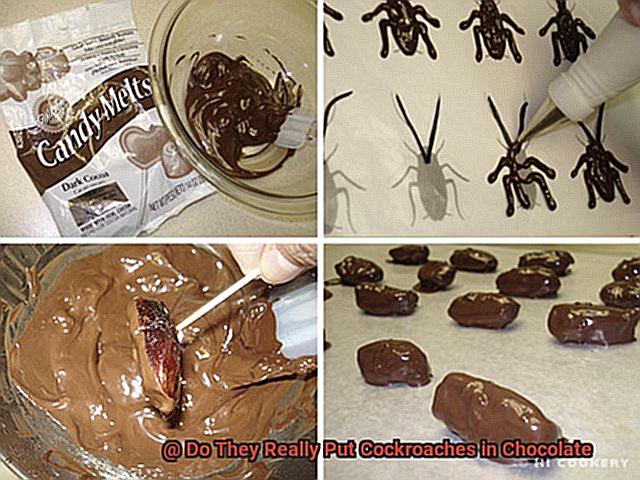 Do They Really Put Cockroaches in Chocolate-3