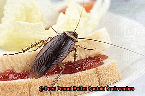 Does Peanut Butter Contain Cockroaches-4