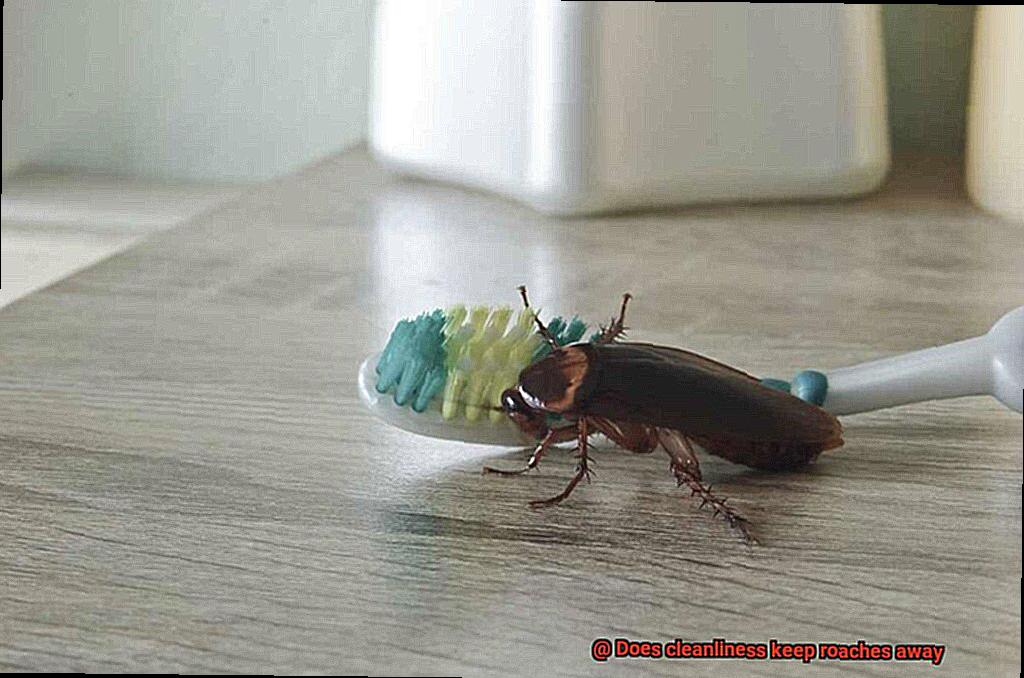 Does cleanliness keep roaches away-2