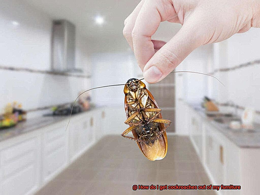 How do I get cockroaches out of my furniture-2
