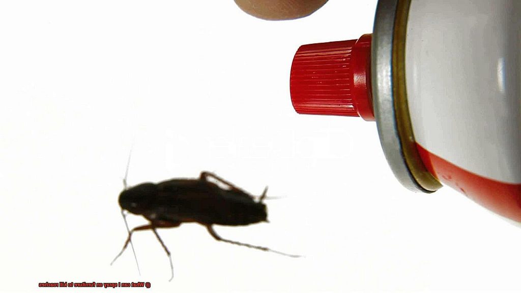 What can I spray on furniture to kill roaches? All About Roaches