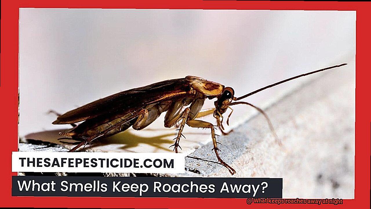 What keeps roaches away at night-5