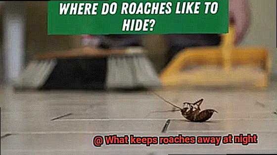 What keeps roaches away at night-2
