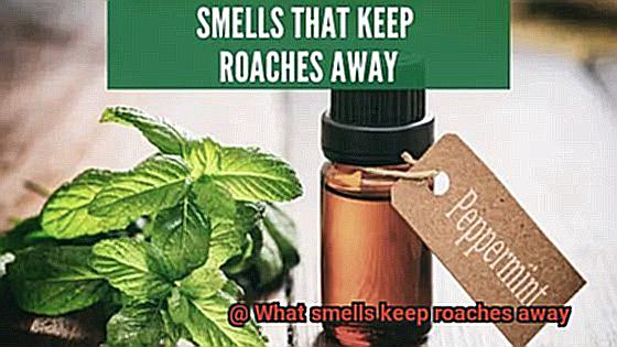 What smells keep roaches away-3