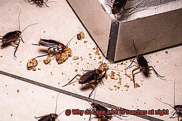 Why do I see a lot of roaches at night-2